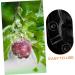 Kisangel 2pcs Shaped Fruit Novel Shaping Adorable Forming Shaper Accessories Watermelon - Buy Online on SooperMarket.com