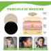 Tinnitus Relief Patch 12pcs - Lightweight and Mild Ear Pain Relief for Tinnitus Patients - Buy Online on SooperMarket.com