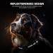 Buy Durable IP68 Waterproof Airtag Dog Collar | Reflective Apple Airtag Holder for Medium & Large Dogs - Black XL - Buy Online on SooperMarket.com