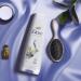 Dove Intensive Repair Conditioner 200 ml - Bio Restore Complex for Damaged Hair - Pack of 6 | International Shipping Available - Buy Online on SooperMarket.com