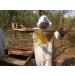 Mama Buci Top Bar Hive Zambian Pure Honey Ethically Produced Winter Harvest 340 g Dark - Buy Online on SooperMarket.com