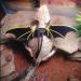 Bearded Dragon Harness 3 Size Soft Leather Harness Lizards Leash Adjustable Small Reptiles Animals Harness with Wing Nylon Rope Lead for Small Medium and Large Reptiles Animals - Buy Online on SooperMarket.com