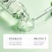 Centella Asiatica Soothing Repair Facial Serum | Lightweight Hydrating Daily Moisturizer | Anti-Acne & Oil Control | 30ml - International Shipping - Buy Online on SooperMarket.com