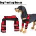 Dog Front Leg Protector Protector Wrist Guard Pet Knee Pads Reflective Stripe for Ligament Injuries Sprains for Loss of Stability(#1 M) - Buy Online on SooperMarket.com