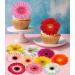 Pre-Cut Beautiful Gerbera Daisy A Edible Wafer Paper Flowers Cupcake Toppers Cake Decorations Birthday Party (12)