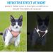 Brifit Cat Harness and Lead Set | Soft Mesh Adjustable Reflective Vest for Small Cats | Escape-Proof Kitten Harness with Leash | Pink XXS - Buy Online on SooperMarket.com