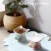 Navaris Raised Ceramic Cat Bowls (Set of 2) - Elevated Food and Water Bowl Pack for Cats - Cute Kitty Shaped Dishes with Ears - Dishwasher Safe - Green/Peach - Buy Online on SooperMarket.com