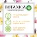 Botanica by Air Wick XL Candle - 90 Hours of Himalaya Magnolia & Vanilla Fragrance - Sustainably Made 500g in Glass - 1 Pack - Buy Online on SooperMarket.com