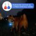5-Piece Silicone Dog LED Light Keychain | Waterproof Security Pet Lights for Dogs & Cats 3 Flashing Modes - Buy Online on SooperMarket.com
