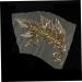 Trendy Stickers 2 Pcs Fashion Stickers Trendy Accessories Sequin Clothing Clothes Iron on Appliques Patches for Clothes Golden Size 1 - Buy Online on SooperMarket.com