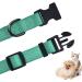 Audwud Thick Nylon Neck Band Dog Collar - Adjustable Classic Design for Small Medium & Large Dogs | M Size: 37-54 cm | Available in Multiple Colors - Buy Online on SooperMarket.com