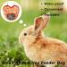 Rabbit Hay Feeder Guinea Pig Hay Rack Manger Holder Hanging Feeding Storage Made of Oxford Cloth For Rabbits Guinea Pigs Ferrets and Other Small Animals (Orange) - Buy Online on SooperMarket.com