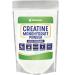XPRS Nutra Vegan Creatine Monohydrate Powder - 453g of Premium Bulk Creatine Powder for Muscle Growth and Endurance - Vegan Friendly Instantized Creatine for Men and Women (16 oz) 16 Ounce (Pack of 1)