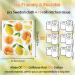 Swedish Dish Cloth 6 Pack Swedish Dishcloths with 4 Clips Absorbent Sponge Cleaning Reusable Biodegradable Paper Towels (6 Pack Fruit) - Buy Online on SooperMarket.com