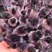 Hot Day Crystal Cluster Coffee Amethyst Processing from The Crystal Cluster FZUGEDRLI - Buy Online on SooperMarket.com