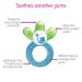 MAM Baby Toys Teething Cooler Teether for Girls 4+ Months - 1 Count - Buy Online on SooperMarket.com