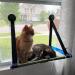Foldable Cat Hammock for Large Cats 60 lbs+ | Indoor Window Perch with Strong Suction Cups - Buy Online on SooperMarket.com