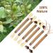 Dacitiery Cat Silvervine Chew Sticks Cat Toys Natural Cat Teeth Nip Cleaning Teeth Chew Catnip Toys for Indoor Cat Teeth Cleaning Kitten Teething and Stress Release (3 Style 6 Pack) - Buy Online on SooperMarket.com