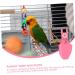 Angoily 3-Piece Parrot Suit for Nymphensittich & ARA - Bird Diaper Costume for Small Parrots - Durable & Stylish Wing Clothing - Buy Online on SooperMarket.com