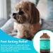 PupRepublic Fast Acting dog diarrhea treatment - Digestive Disorders - More Effective than Kaolin - Sickness & Allergy Relief for Dogs of All Breeds & Sizes 250 ml (Pack of 1) - Buy Online on SooperMarket.com