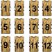 Toptie 12 Numbered Training Vests (#13-24) Soccer Pinnies - Set of 12 - Buy Online on SooperMarket.com