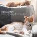 Apple AirTag Cat Neck Band - Light Tracker for Kittens & Puppies (7-9 inch) - Blue | International Shipping - Buy Online on SooperMarket.com