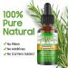 100% Pure Natural Rosemary Oil - Multipurpose Hair Oil for Growth Nourishing Scalp & Strengthening Hair - Buy Online on SooperMarket.com