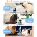 PETTOM Interactive Cat Toy 3-in-1 Automatic - 2023 Upgrade with Rotating Feather Tracks Ball - USB Rechargeable Kitten Toy for Indoor Cats - Blue - Buy Online on SooperMarket.com