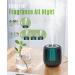 Jack & Rose 140ml Small Diffuser for Home & Office - 7 Color Essential Oil Air Diffuser with Auto Off Function - Buy Online on SooperMarket.com