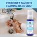 MEINTU Human Colloidal Silver Foaming Hand Soap - 75 PPM - Eliminates 99.99% of Germs Unscented Sulfate-Free 2.7oz Pump Bottle for All Skin Types - International Shipping Available - Buy Online on SooperMarket.com