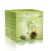 Creano Heart-Shaped Gift Set: 6 Types of Green Tea & 500ml Glass Teapot - Perfect Gift for Women & Tea Lovers - Buy Online on SooperMarket.com