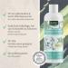 AniForte Fellharmonie Dog Shampoo Sensitive with Aloe Vera 200ml - Gentle Care for Sensitive Dogs Easy-Combing Fur Dye & Perfume-Free - Buy Online on SooperMarket.com
