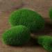 Nicunom 40 Pcs Artificial Moss Rocks - Faux Green Stones for Garden Decor & DIY Floral Arrangements - Buy Online on SooperMarket.com