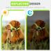 Buy Weesiber Soft Dog Handlebars - Adjustable Padded Halter with Reflective Stripes for Training & Walking | Large Green - No Pulling Comfortable Design - Buy Online on SooperMarket.com