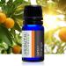 Yeouth Therapeutic Essential Oil Starter Pack - 6 x 10ml - Pure Aromatherapy - Buy Online on SooperMarket.com