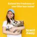 SCENT AWAY Cat litter Deodorizer Litter Box Odor Eliminator | Fragrance Free Cat Litter Deodorizer with ACTIVE CARBON | Eliminates Cat Odors and Smells to Keep Your Home Fresh and Clean (Pack of 1) 310.52 ml (Pack of 1) - Buy Online on SooperMarket.com
