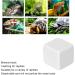 Premium Aquarium Calcium Stone - Essential Trace Elements for Turtles Snails & Reptiles - Ideal for Terrestrial Animals - Buy Online on SooperMarket.com