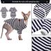 Breathable Summer T-Shirts for Hairless Cats | Soft Cotton Pet Pajamas for Sphynx Cornish Rex Devon Rex - XS Size - Buy Online on SooperMarket.com