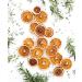 Dried Oranges - Premium Dehydrated Cocktail Garnishes - 20 Servings (70g Approx) - Buy Online on SooperMarket.com