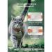 Buy Airtag Cat Collar - Reflective Kitten Neck Band | Light Tracker with Bell for Young Cats - Orange - Buy Online on SooperMarket.com