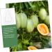 VINTORKY 3pcs Vegetable Mold Ginseng Creative Melon Fruit Accessory Forming Machine Gourd - Buy Online on SooperMarket.com