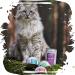Buy Venandi Animal Premium Grain-Free Cat Food - Monoprotein Sheep Wet Food (12 x 125g) - Natural & Healthy for Your Cat - Buy Online on SooperMarket.com