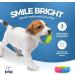Fur & Bone 10 Pack Dog Chew Toys | Puppy Toys Dog Toys for Boredom | Indestructible Dog Toys with Rope Toys Squeaky Toy | Dog Toy Dog Teething Toys for Small & Medium Dogs | Dog - Buy Online on SooperMarket.com
