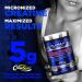 CytoGreens - Acai Berry Green Tea - 60 serving 535-gram & ALLMAX Nutrition - Creatine Monohydrate Micronized Creatine Powder for Strength and Muscle Recovery Gluten Free & Fast Absorbing 400g - Buy Online on SooperMarket.com