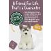 Living Nature AN461 Husky Realistic Soft Cuddly Dog Toy - Eco-Friendly Plush 21cm - Buy Online on SooperMarket.com