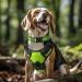 Joytale Reflective Dog Collar for Medium Dogs - Green Pack of 1 | Durable & Stylish - Buy Online on SooperMarket.com