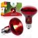 REPTI HOME Reptile Heat Lamp Bulb Infrared Heat Lamp for Reptile 100W 2Pack Basking Spot Red Heat Bulb for Lizards Turtles Chicks Puppies 100.0 Watts