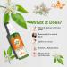 Crysalis Neroli Floral Water 100ml | Pure Citrus Aurantium - Shop Internationally - Buy Online on SooperMarket.com