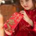 TEHAUX 30pcs Spring Festival Red Pocket Chinese Hong Bao Chinese Money Envelopes Red Envelopes Cash Envelopes 2024 Red Packets Money Packet Money Bag Dragon Packets China Paper Wedding - Buy Online on SooperMarket.com