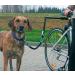 T Tocas Stainless Steel Bicycle Dogs Leash - Walk & Ride with Hands Free Pet Training Lead Comfortable Silicone Handle Black Handle - Buy Online on SooperMarket.com